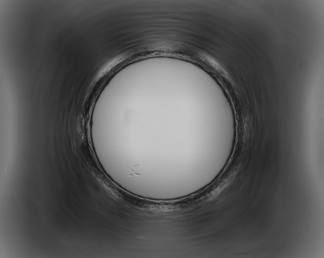 X0000083600970200703021908