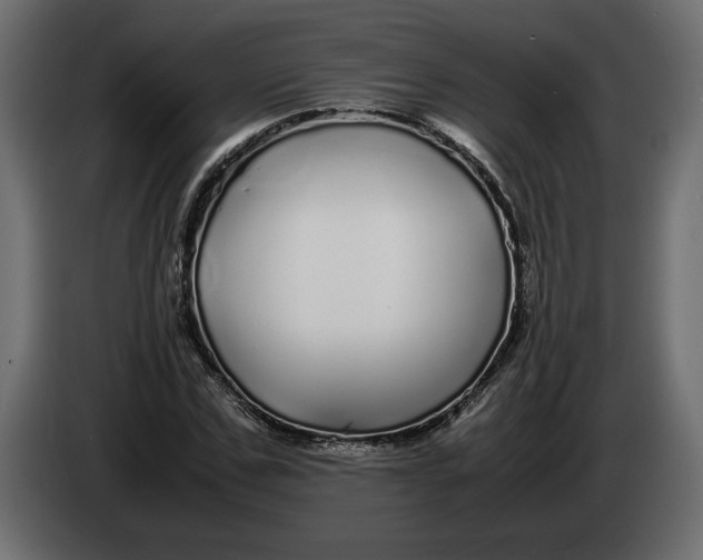 X0000083600971200703021908