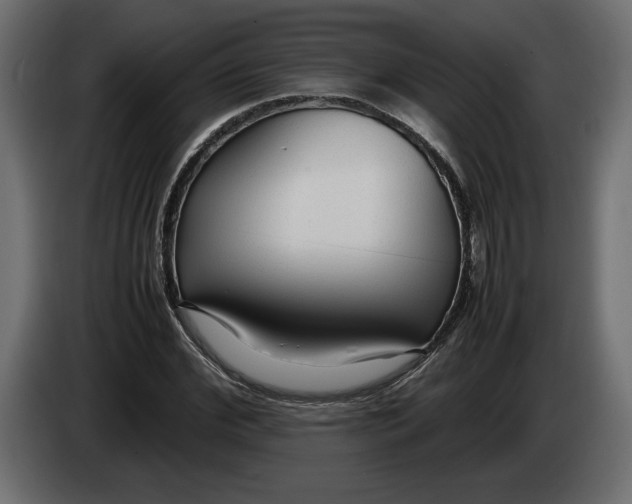 X0000083600972200703021908