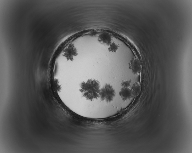 X0000083600975200703021908