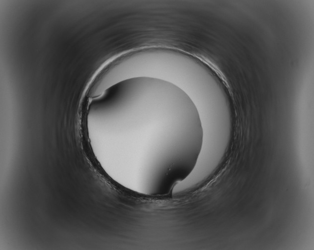 X0000083600976200703021908