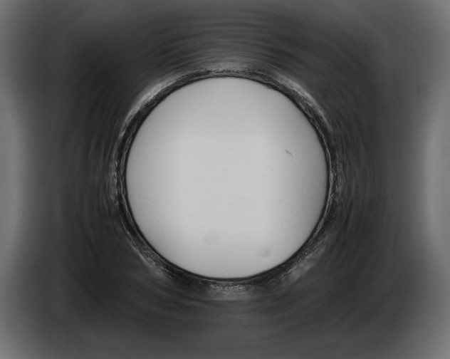 X0000083600978200703021908