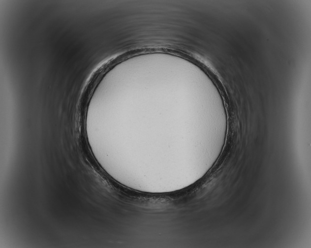 X0000083600979200703021908