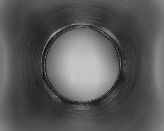 X0000083600980200703021908