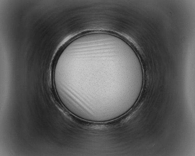 X0000083600982200703021908