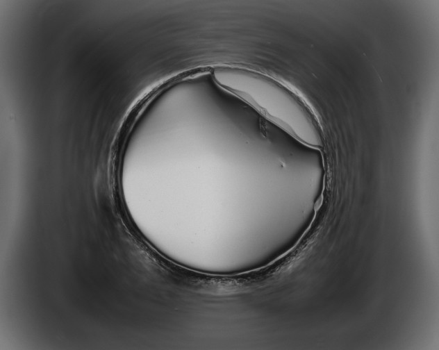 X0000083600983200703021908