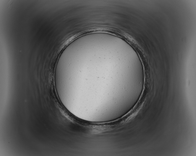 X0000083600985200703021908