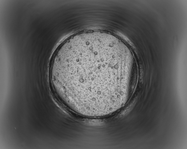 X0000083600986200703021908