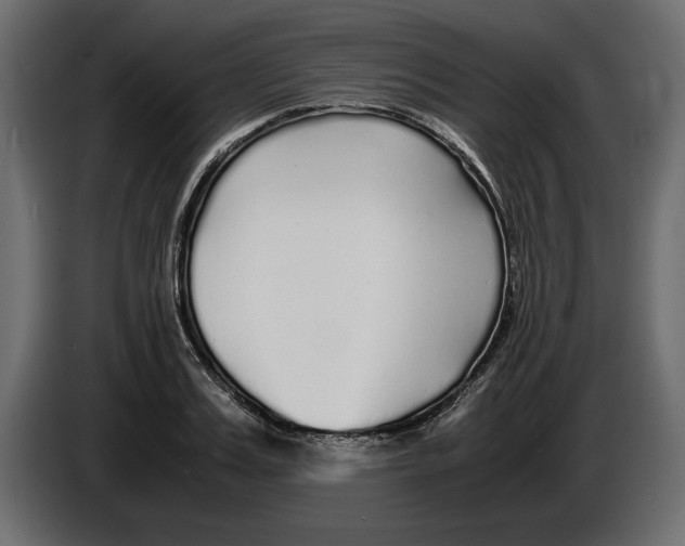 X0000083600987200703021908