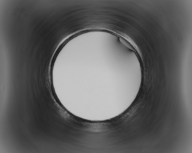 X0000083600988200703021908