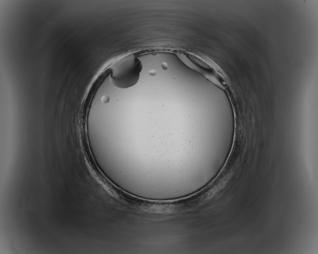 X0000083600989200703021908