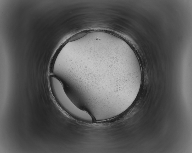 X0000083600990200703021908