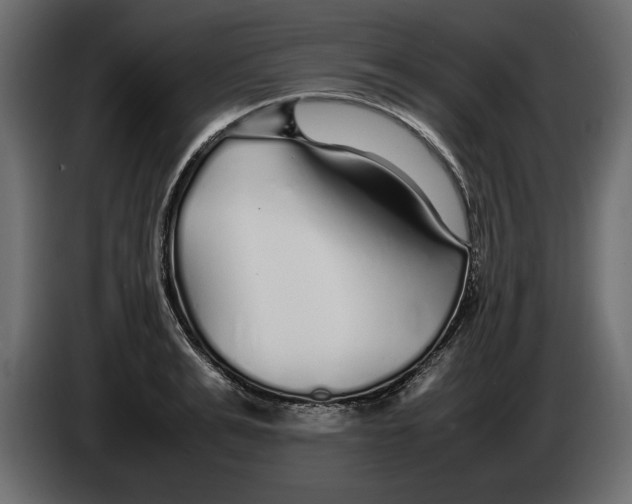 X0000083600991200703021908