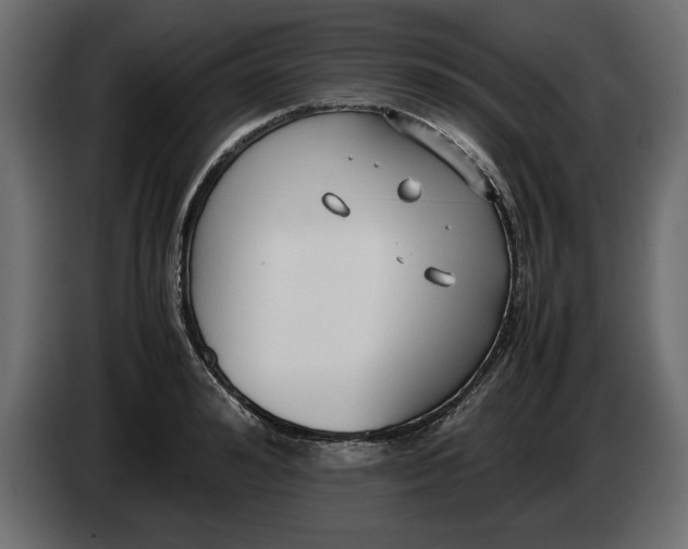 X0000083600992200703021908