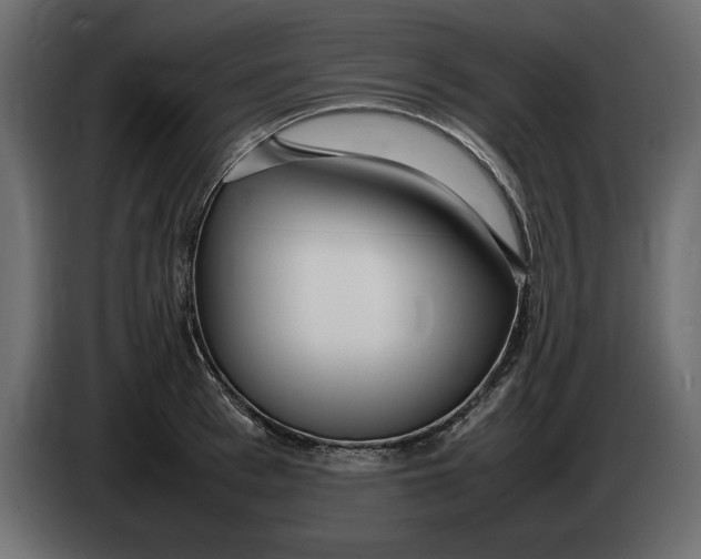 X0000083600993200703021908