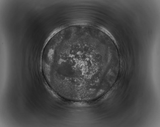 X0000083600994200703021908