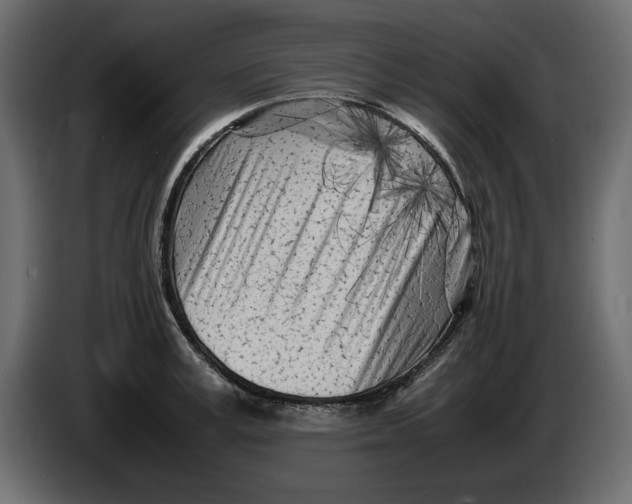 X0000083600995200703021908