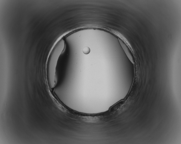 X0000083600996200703021908