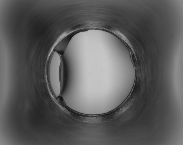 X0000083600997200703021908