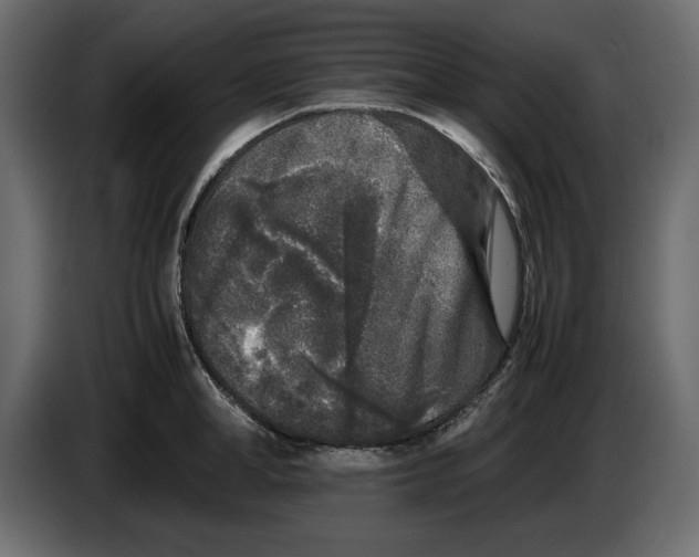 X0000083600998200703021908