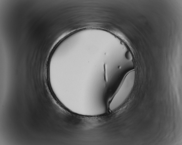 X0000083600999200703021908