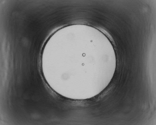 X0000083601000200703021908