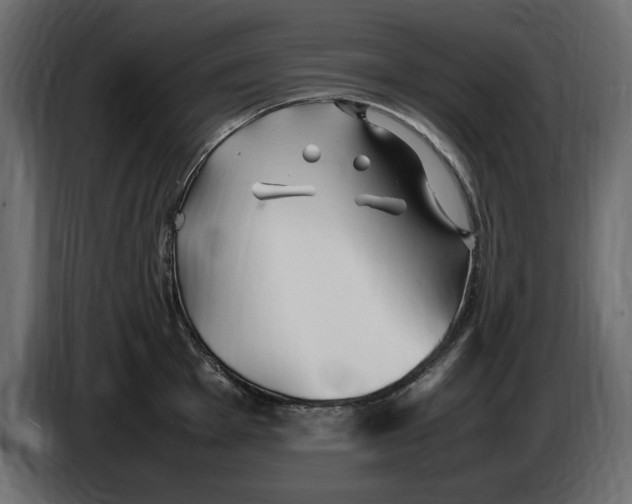 X0000083601001200703021908