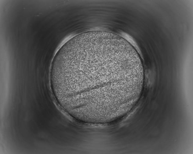 X0000083601002200703021908