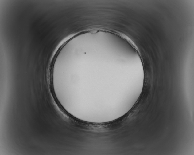 X0000083601003200703021908