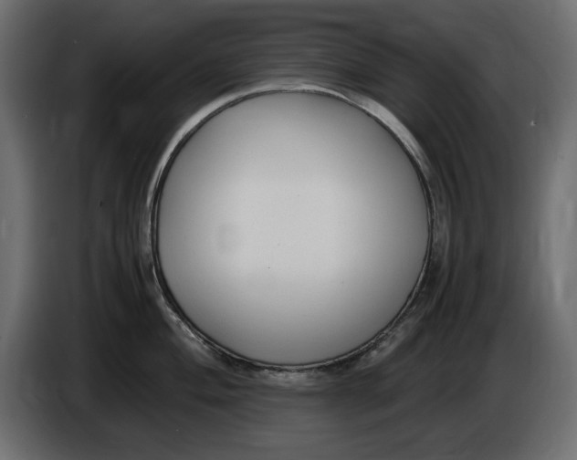 X0000083601004200703021908