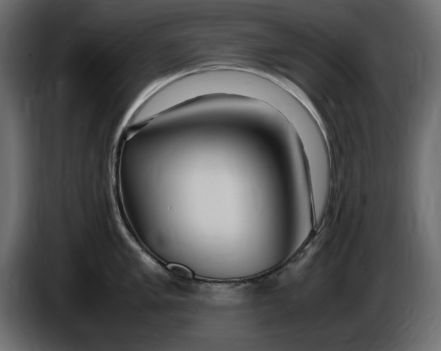 X0000083601005200703021908