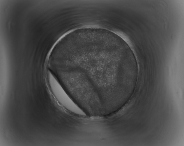 X0000083601008200703021908