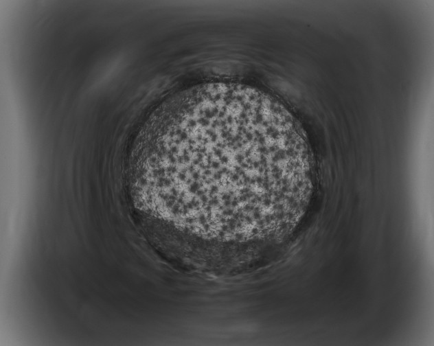 X0000083601009200703021907