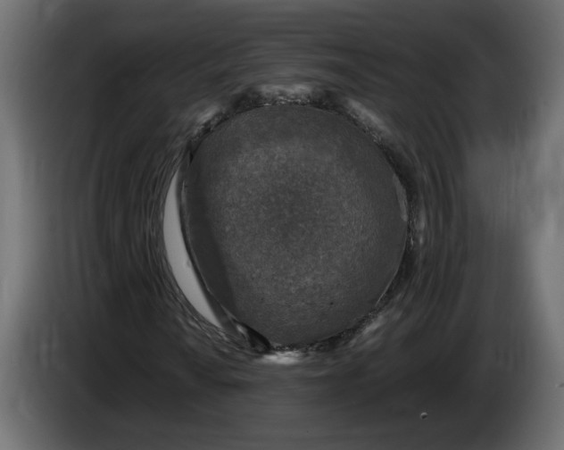 X0000083601010200703021907