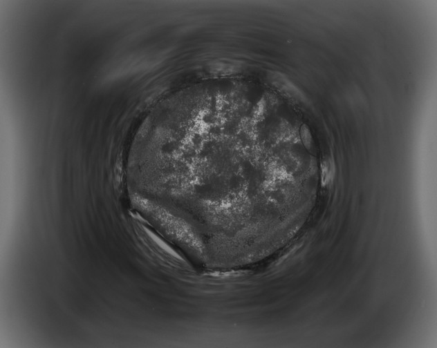 X0000083601011200703021907