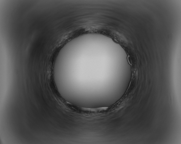 X0000083601012200703021907