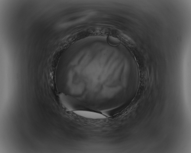 X0000083601013200703021907