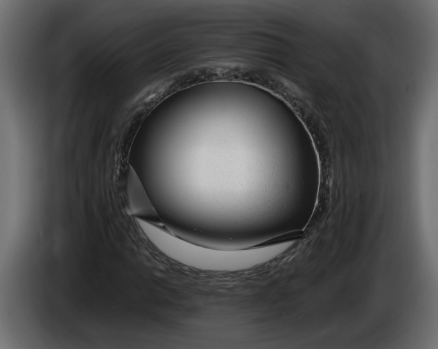 X0000083601014200703021907