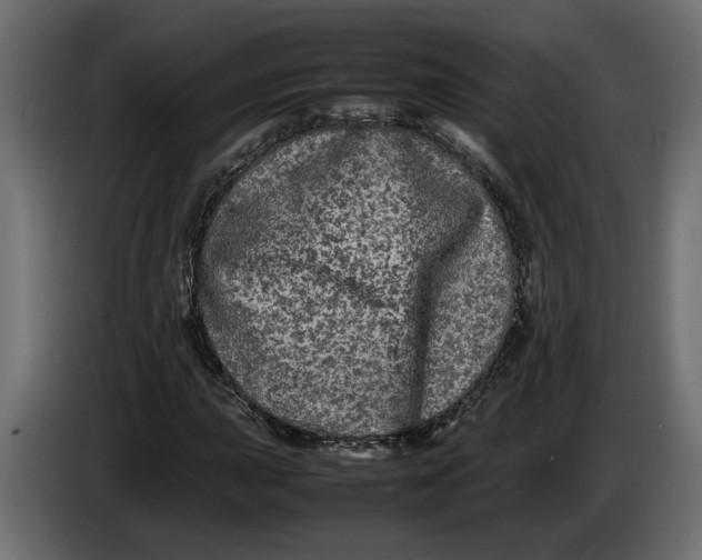 X0000083601015200703021907