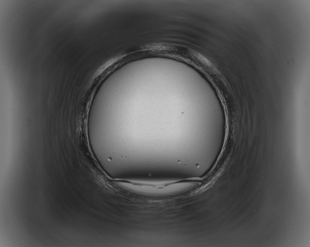 X0000083601017200703021907