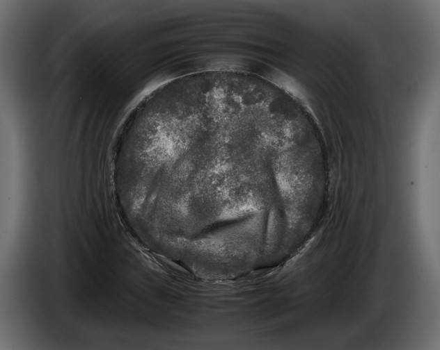 X0000083601019200703021907