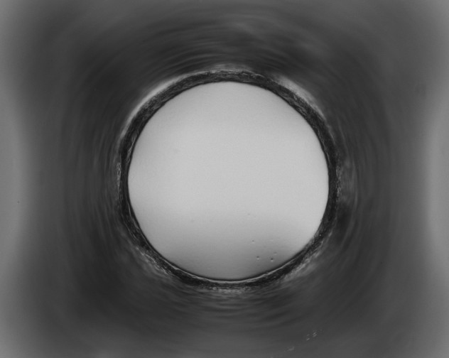 X0000083601021200703021907