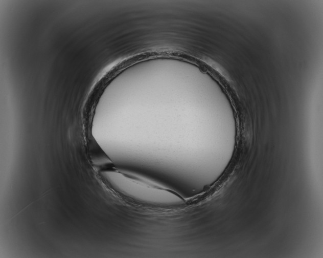 X0000083601022200703021907