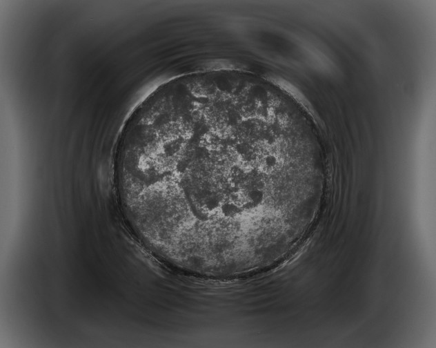 X0000083601023200703021907