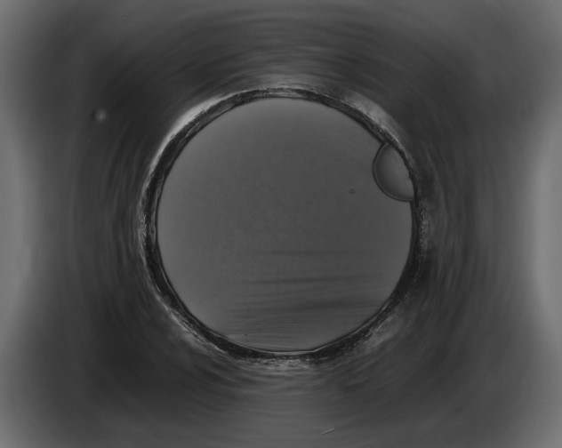 X0000083601024200703021907