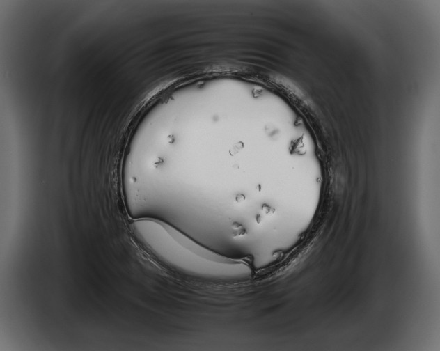 X0000083601025200703021907