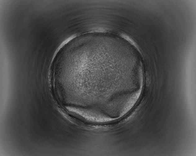 X0000083601026200703021907