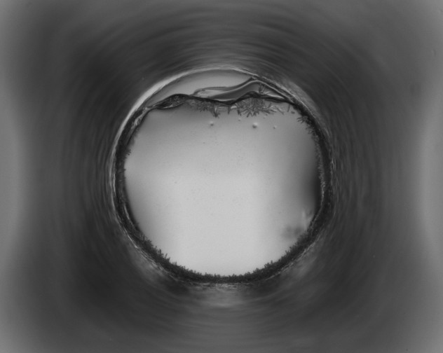 X0000083601028200703021907