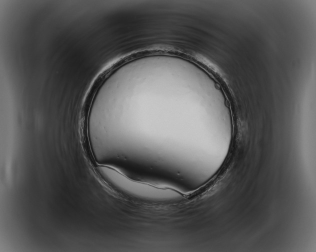 X0000083601029200703021907