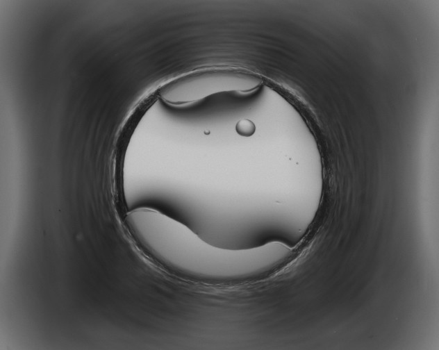 X0000083601030200703021907